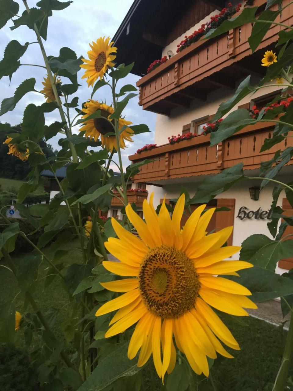 Ferienwohnungen Weiherbach - Hallenbad Berchtesgaden Bagian luar foto